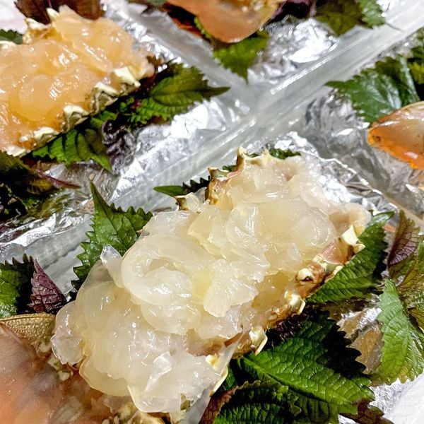 Sashimi Tôm Hùm Bông