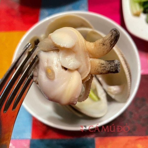 sò thưng làm món gì ngon