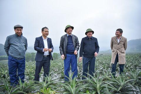 Có một Đồng Giao trên đất Hà Tĩnh
