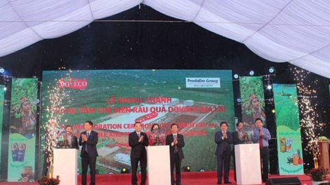 Khánh thành Trung tâm chế biến rau quả Doveco Gia Lai lớn nhất Tây Nguyên