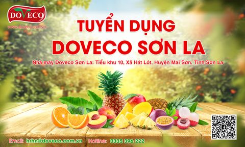 DOVECO TUYỂN DỤNG CHI NHÁNH SƠN LA