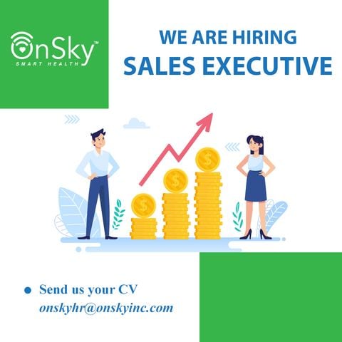 Sales Executive