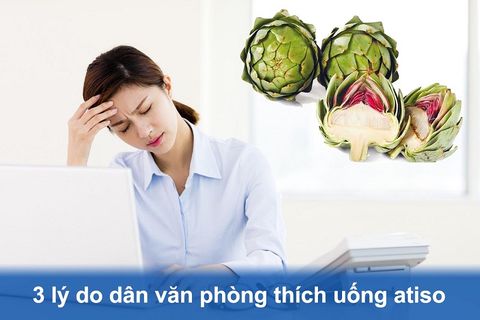 Vì Sao Atiso Là Thức Uống Được Dân Văn Phòng Ưa Chuộng?