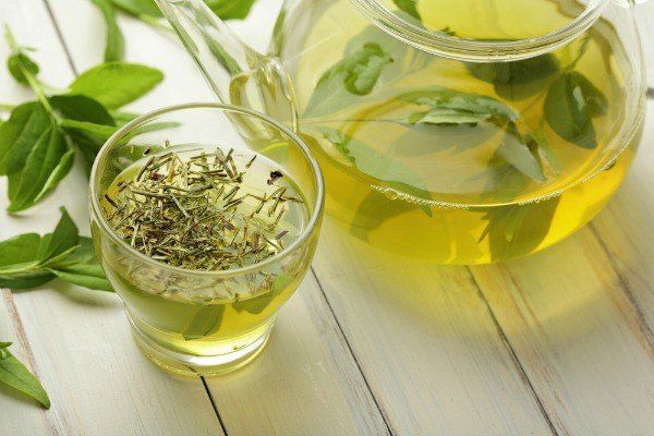 Lợi ích khi sử dụng trà cỏ ngọt là gì? Công thức pha trà cỏ ngọt tại nhà