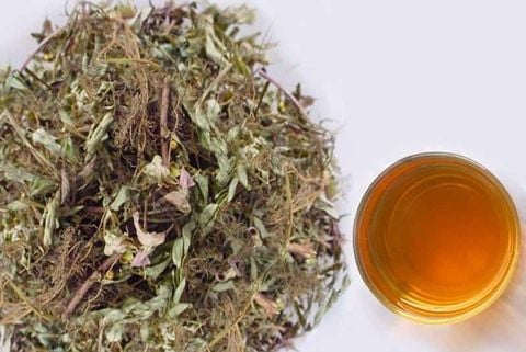 Công Dụng Và Cách Pha Trà Diệp Hạ Châu