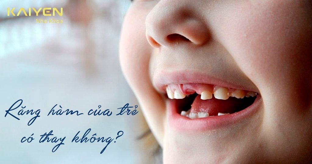 Trẻ em có thay răng hàm hay không?