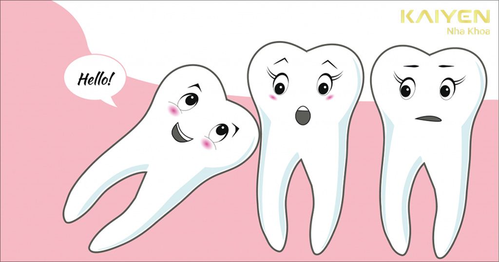 Răng khôn hàm trên có 3 chân và răng khôn hàm dưới có 2 chân