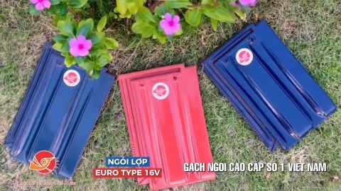TVC NGÓI EURO TYPE 16V/m2 GỐM ĐẤT VIỆT
