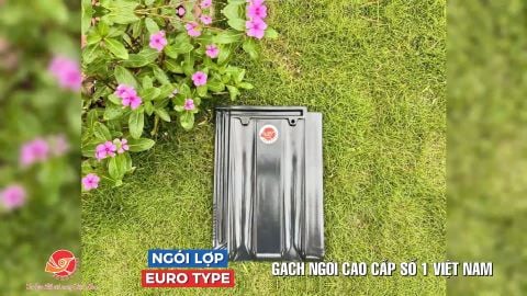 TVC NGÓI EURO TYPE 10 VIÊN/M² GỐM ĐẤT VIỆT 🏡 Mái nhà đẳng cấp, bền vững theo thời gian!