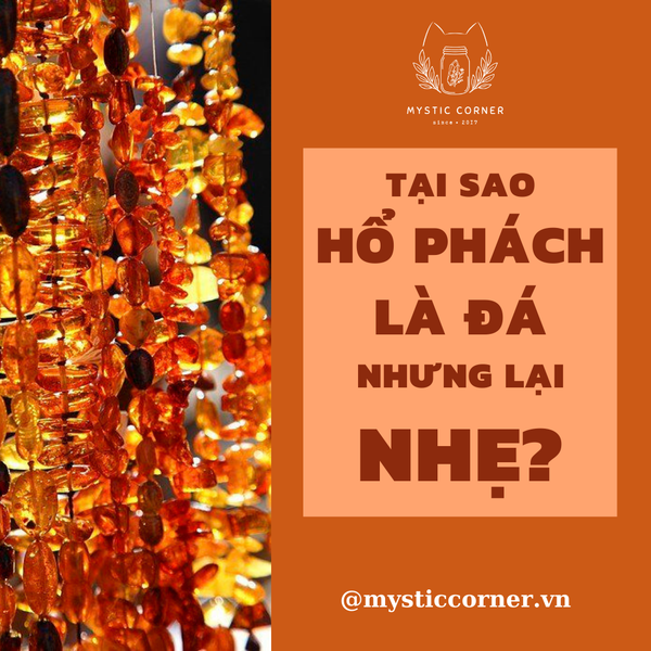 TẠI SAO HỔ PHÁCH LÀ ĐÁ NHƯNG LẠI NHẸ?