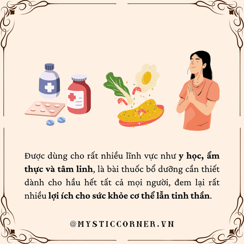 công dụng rosemary cây hương thảo