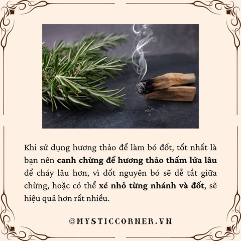 công dụng rosemary cây hương thảo