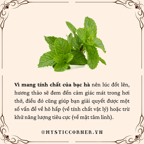 công dụng rosemary cây hương thảo