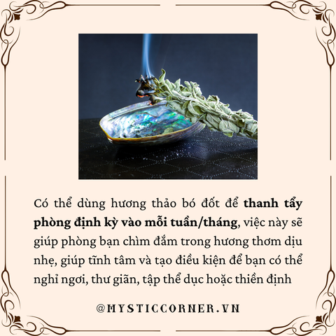công dụng rosemary cây hương thảo
