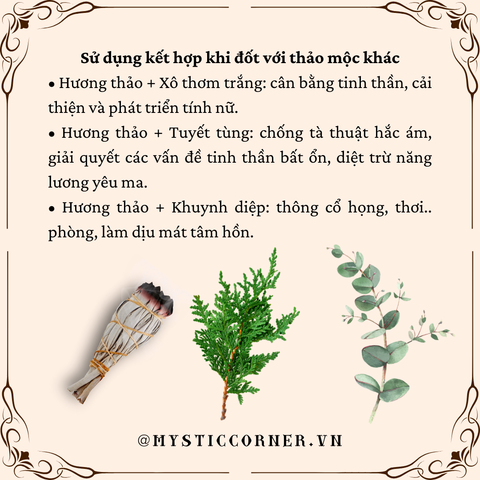 công dụng rosemary cây hương thảo