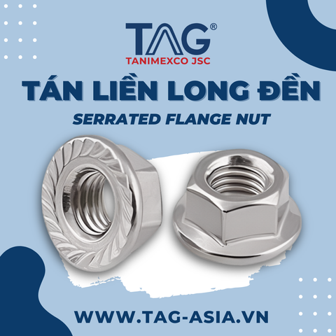 Tán Liền Long Đền Trường An – Giải Pháp Liên Kết Chắc Chắn