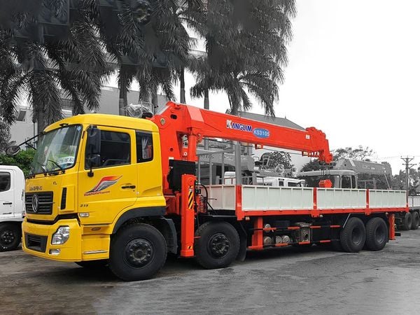 Cẩu kanglim 12 tấn tầm vươn 25m