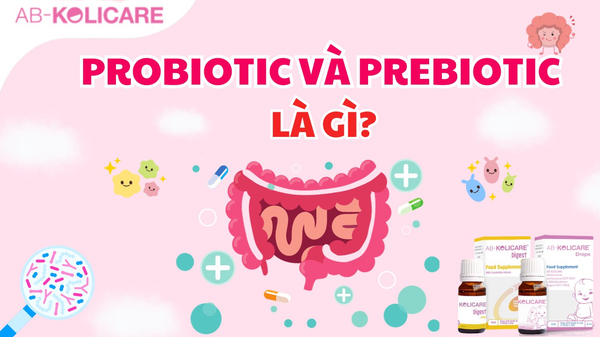 PROBIOTIC VÀ PREBIOTIC LÀ GÌ?