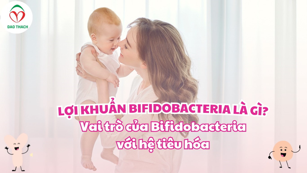 LỢI KHUẨN BIFIDOBACTERIUM LÀ GÌ? VAI TRÒ CỦA BIFIDOBACTERIUM VỚI HỆ TIÊU HÓA