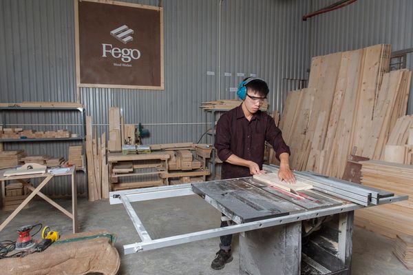 7 sự thật thú vị về cây thông - cảm hứng sáng tạo của nhà FEGO