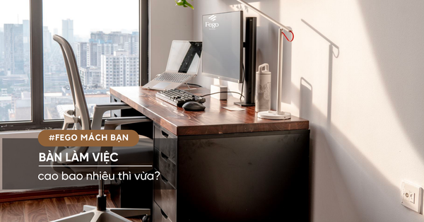 Fego mách bạn: Chiều cao bàn làm việc tiêu chuẩn là bao nhiêu? Các yếu tố chiều cao nên chú ý khi chọn bàn làm việc