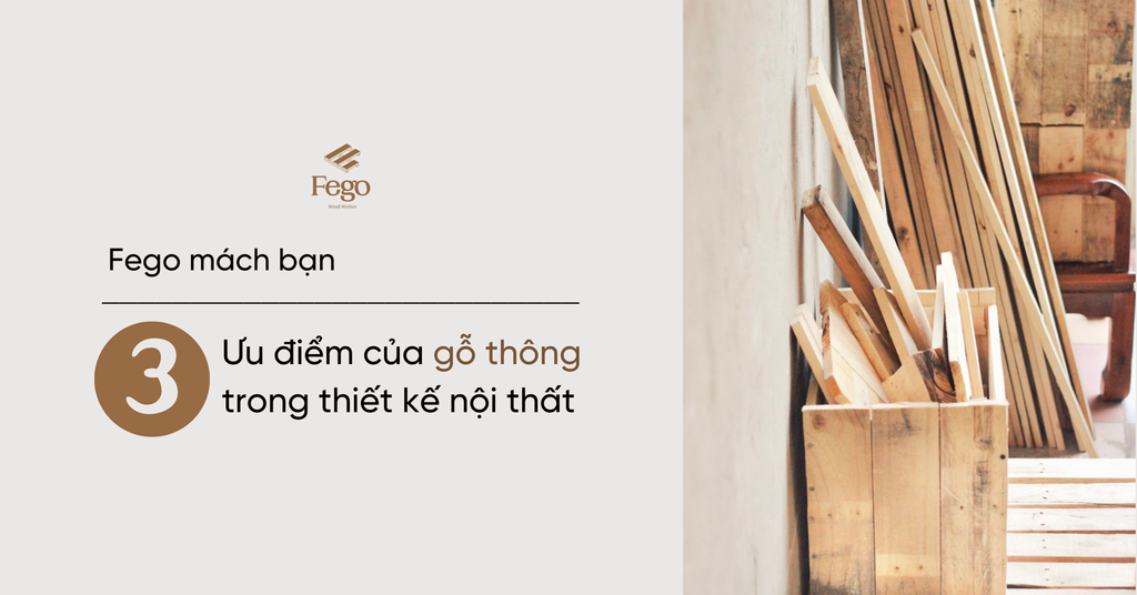 Fego mách bạn: 3 ưu điểm của gỗ thông trong thiết kế nội thất