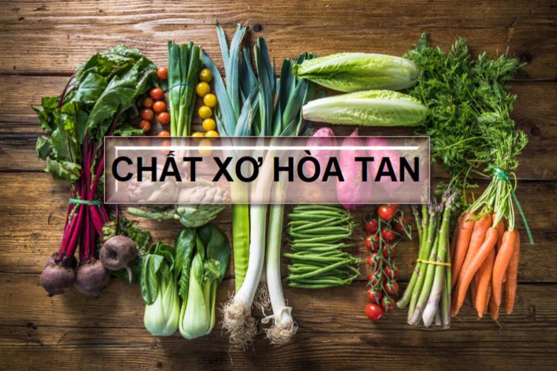 Chất xơ hòa tan và những công dụng đặc biệt – Dinh dưỡng y học