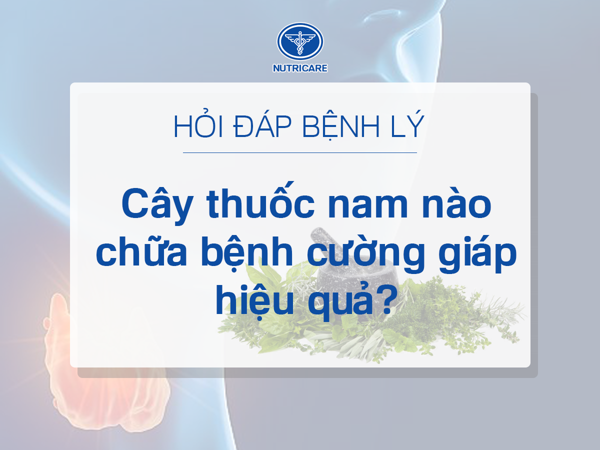 Chữa Bệnh Cường Giáp Bằng Thuốc Nam: Hiệu Quả Bất Ngờ Từ Thiên Nhiên