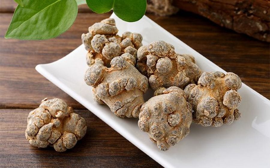 Ung thư phổi có uống được tam thất không