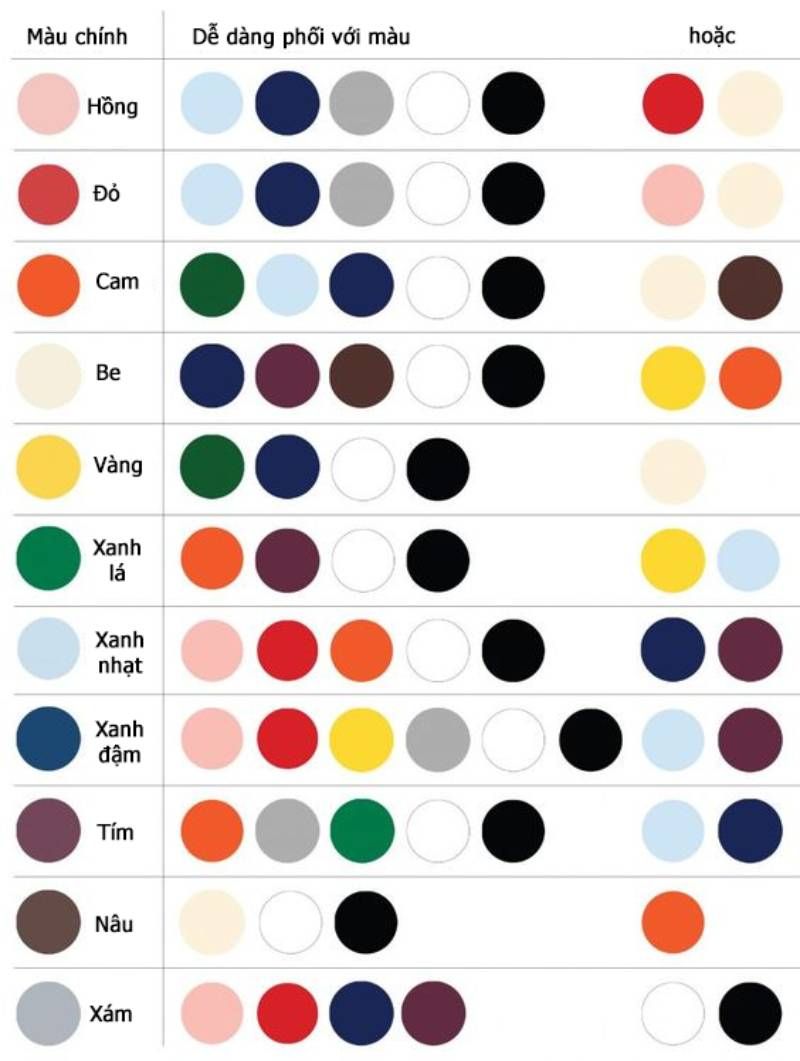 Polo quần tây - Belluni