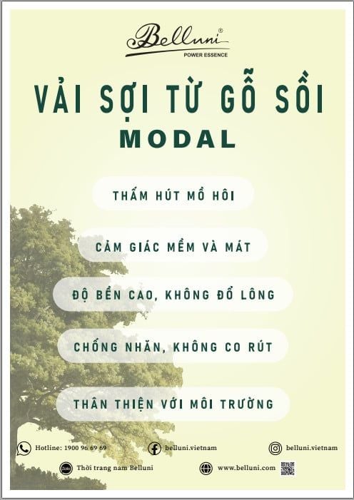 Áo sơ mi sợi sồi - Belluni