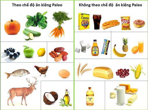 Chế độ ăn kiêng Paleo