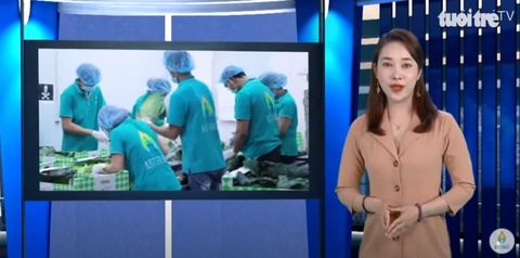 CHUYỂN ĐỘNG THỊ TRƯỜNG RAU SẠCH NHẬP KHẨU