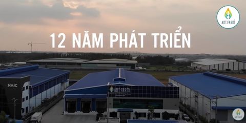 TỔNG KẾT ANT FARM 12 NĂM HÌNH THÀNH VÀ PHÁT TRIỂN