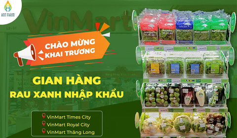 ANT FARM KHAI TRƯƠNG GIAN HÀNG RAU SẠCH NHẬP KHẨU TẠI 3 SIÊU THỊ VINMART HÀ NỘI