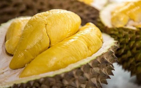BÁN ĐẮT HÀNG SẦU RIÊNG RI6 VIỆT NAM TẠI ÚC