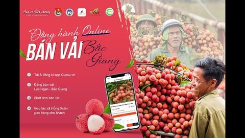 ĐỔI MỚI HÌNH THỨC ĐƯA NÔNG SẢN LÊN CHỢ ONLINE