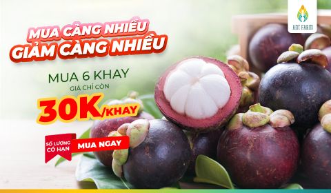 DUY NHẤT THÁNG 6 NÀY: MUA CÀNG NHIỀU – GIẢM CÀNG NHIỀU