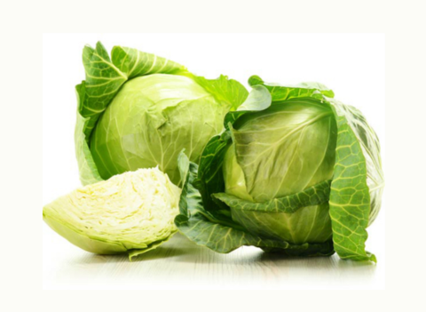 HOW MANY CALORIES ARE IN 100 GRAMS CABBAGE?