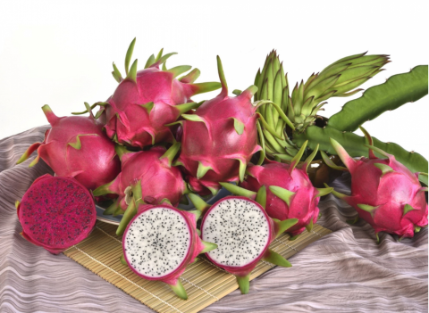 NEW PRODUCTS MADE FROM DRAGON FRUIT YOU MAY NOT KNOW