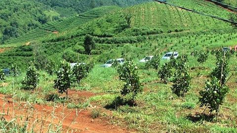 NÔNG NGHIỆP KHÔNG NGỪNG VƯƠN TỚI GLOBALGAP