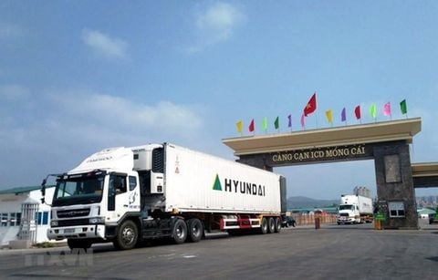 TRUNG QUỐC BẮT ĐẦU THÔNG QUAN NHẬP KHẨU TRỞ LẠI THANH LONG VIỆT NAM
