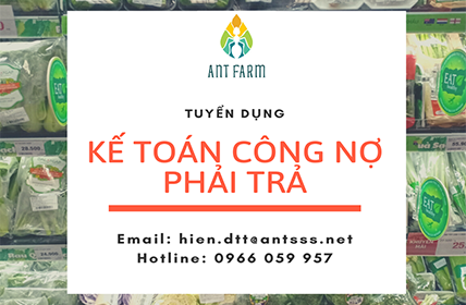 ANT FARM TUYỂN DỤNG NHÂN VIÊN KẾ TOÁN CÔNG NỢ PHẢI TRẢ