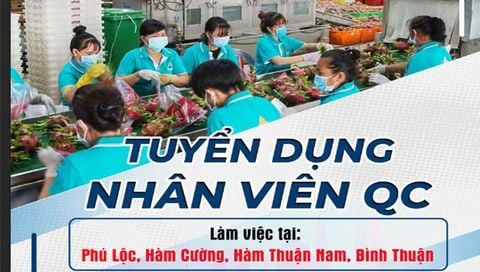 TUYỂN DỤNG NHÂN VIÊN QC CHI NHÁNH BÌNH THUẬN