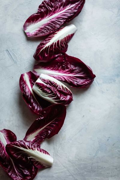 Rau diếp xoăn Radicchio