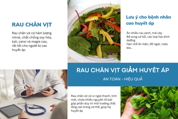 Rau chân vịt giảm huyết áp an toàn