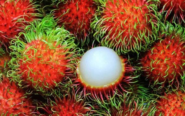 Thai rambutan has a quite large shape, weight from 50-70 g / fruit