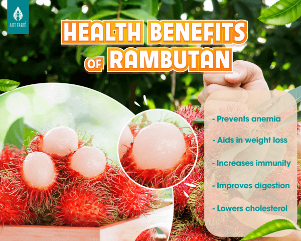 Health benefits of rambutan