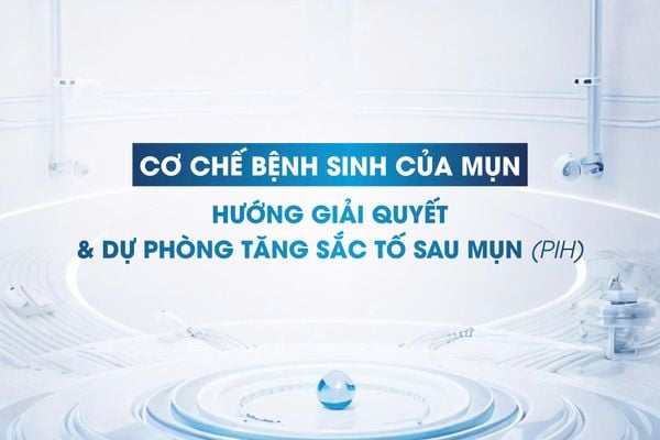 Cơ chế bệnh sinh của mụn, hướng giải quyết và dự phòng tăng sắc tố sau mụn (PIH)