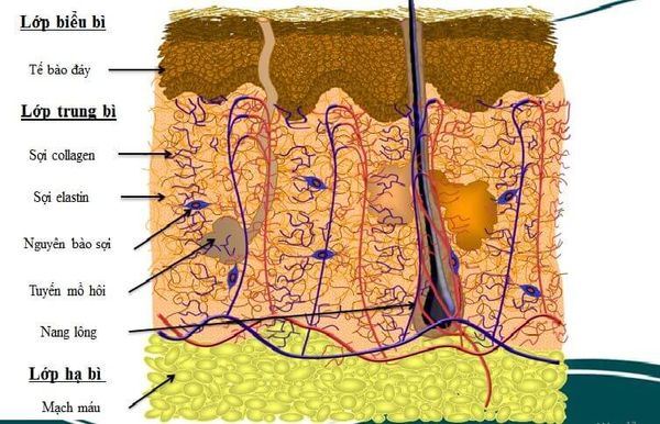 cách chống lão hoá theo từng độ tuổi